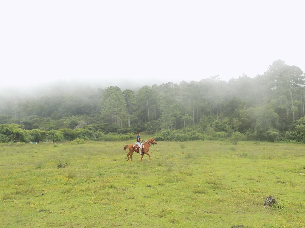Rancho Hostal La Escondida Eco Park Teopisca Exterior photo