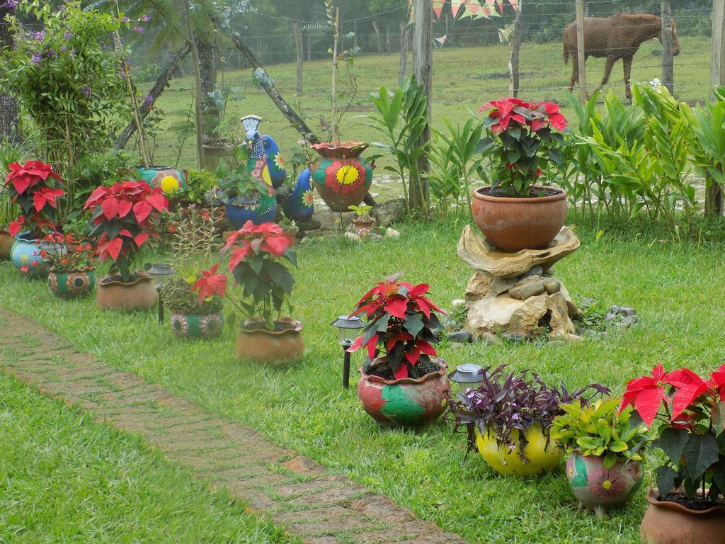 Rancho Hostal La Escondida Eco Park Teopisca Exterior photo