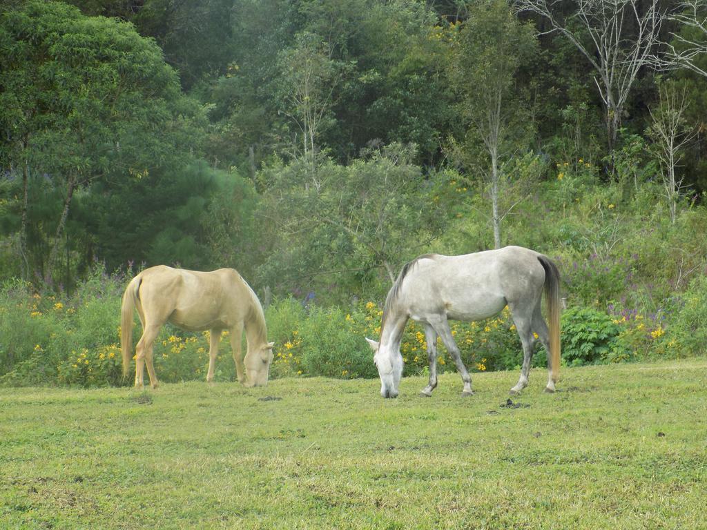 Rancho Hostal La Escondida Eco Park Teopisca Exterior photo